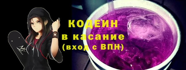 сатива Инсар