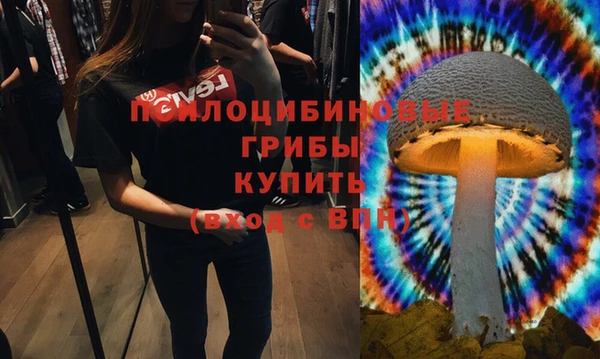 дурь Наволоки