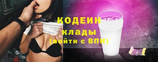 сатива Инсар