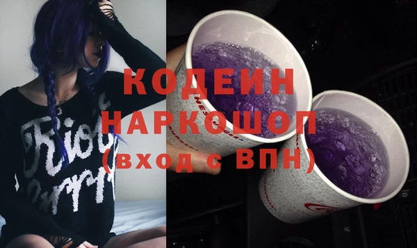 сатива Инсар