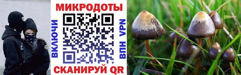 Галлюциногенные грибы ЛСД  Купить  Давлеканово 